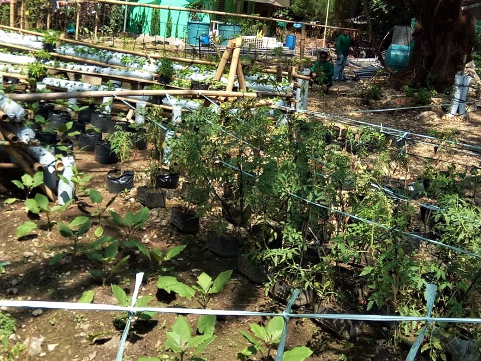 Boracay's Ati Community create a Farm Garden