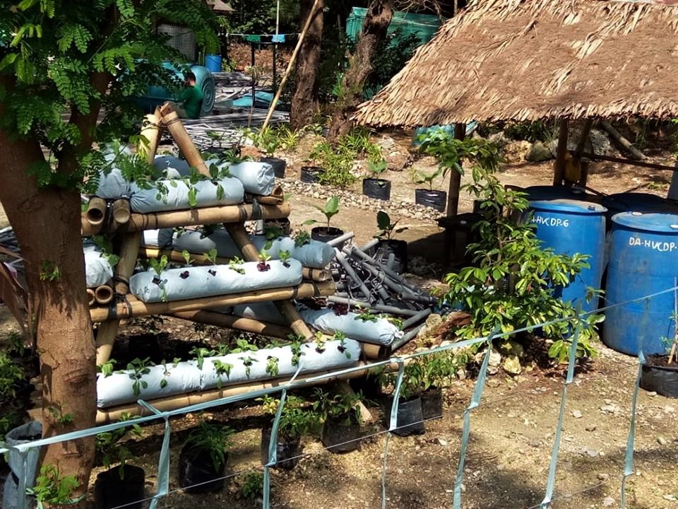 Boracay's Ati Community create a Farm Garden