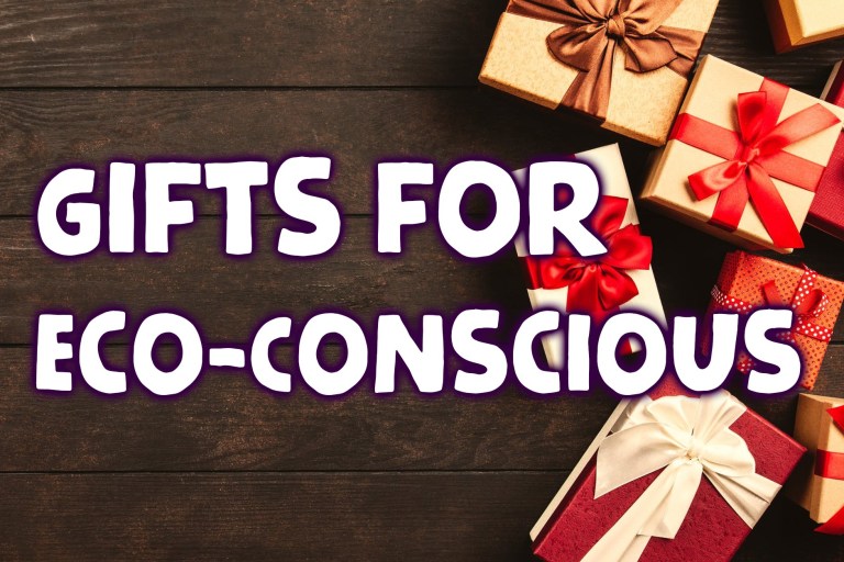 Christmas Buys for the eco-conscious