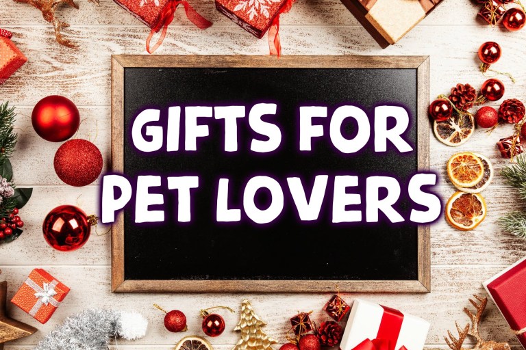 Christmas Buys for Pet Lovers