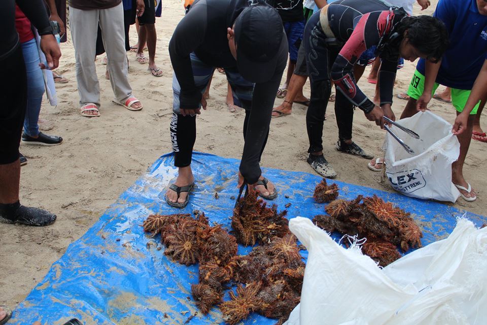 Boracay Divers in underwater clean-up Oct 2018