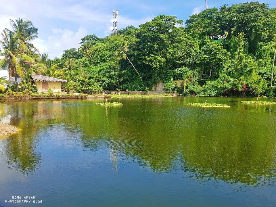 Inside Boracay: Week 10 Recovered Wetland 3 : Photo Credit Bong Arban