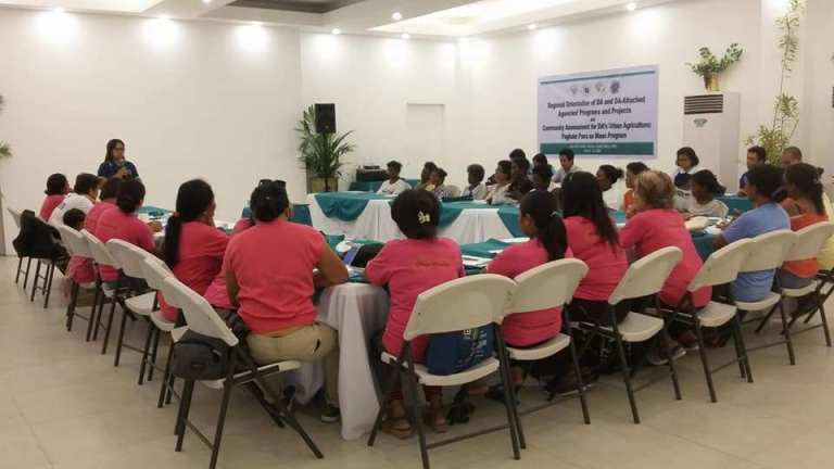 Boracay's Pinay Boracay attends Agricultural Training Institute during the Island's Closure