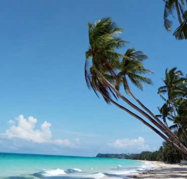 Palm Trees and sea on Boracay's famous White Beach