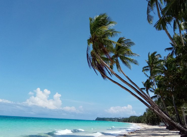 Palm Trees and sea on Boracay's famous White Beach